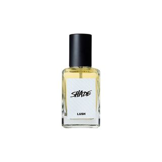 Lush + Shade Perfume