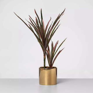 Opalhouse + Artificial Potted Dragon Tree Plant