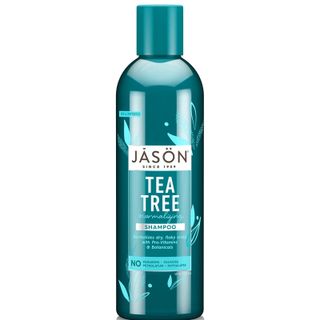 Jason + Normalizing Tea Tree Treatment Shampoo