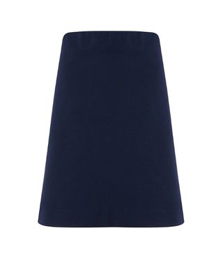 Winser + London Miracle A-Line Skirt