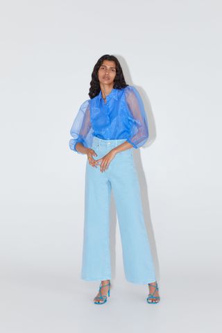 Zara + Organza Blouse With Full Sleeves