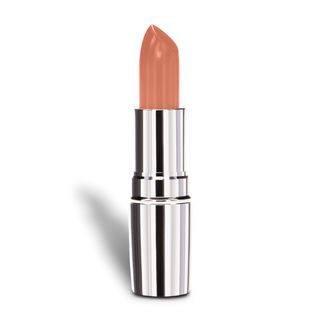 Nude Envie + Lipstick