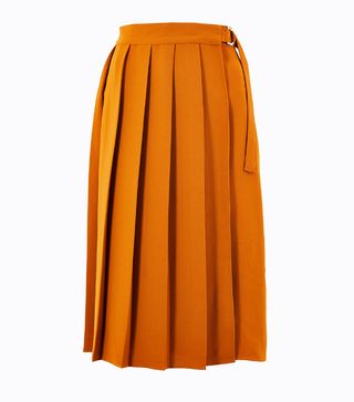 Marks and Spencer Collection + Pleated Midi Skirt