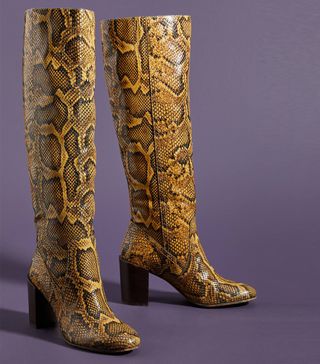 Dolce Vita + Cormac Snake Knee-High Boots