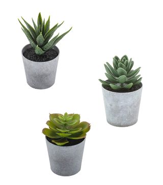 LuckyGreenery + Artificial Succulents Set of 3