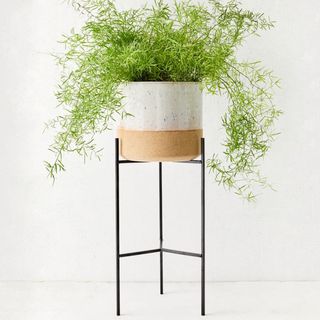 Urban Outfitters + Brina 10 Planter + Stand