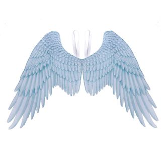Beyonds + 3D Angel Wings