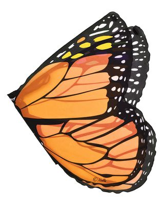 Dreamy Dress-Ups + Monarch Wings