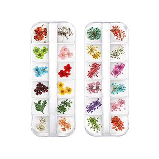 Teenitor + 24 Colors Nail Dried Flowers