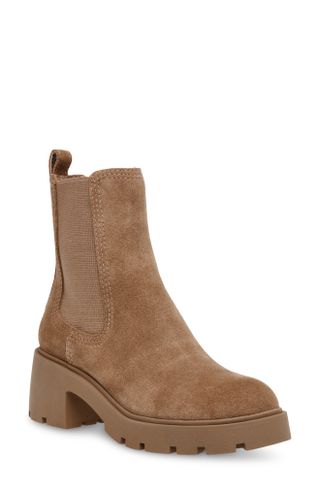 Steve Madden + Haylan Chelsea Boot