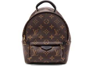 Louis Vuitton + Palm Springs Monogram Mini Bag (Resale)