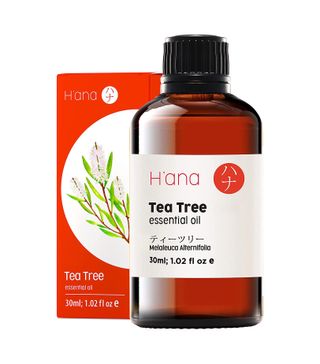 Hana + Tea Tree Essential Oil