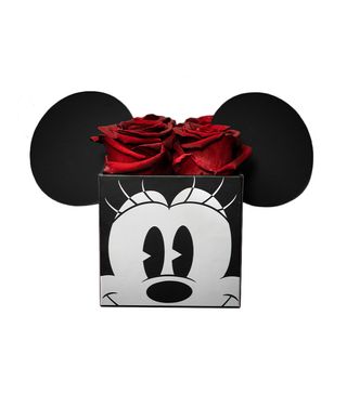 Roseshire + Disney Collection