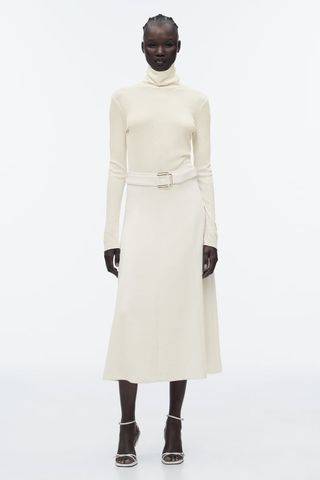 Zara + Layered Midi Skirt
