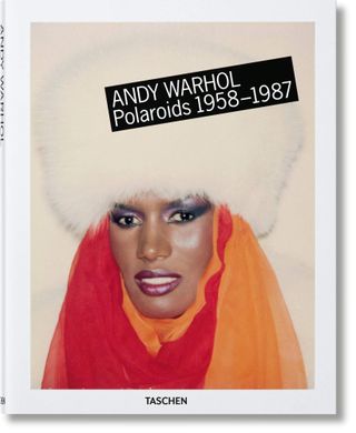 Richard B. Woodward + Andy Warhol Polaroids