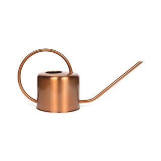 Homarden + Copper Colored Watering Can