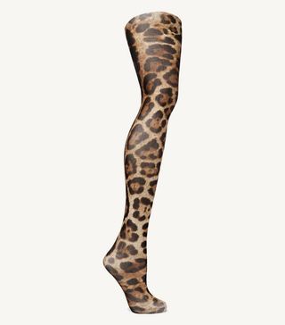 Dolce & Gabbana + Leopard-Print Tulle Tights
