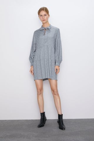 Zara + Dotted Mesh Mini Dress