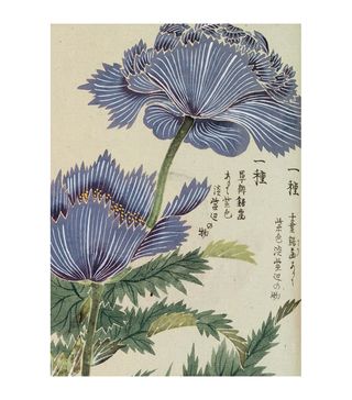 Kew + Honzo Zufu Blue Flower Print