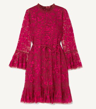 Needle & Thread + Demetria Embroidered Tulle Mini Dress