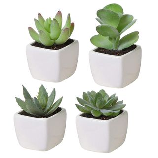 MyGift + Set of 4 Mini Assorted Green Artificial Succulent Plants in Square White Ceramic Planters