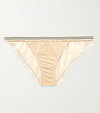 Love Stories + Wild Rose Lace and Stretch Briefs