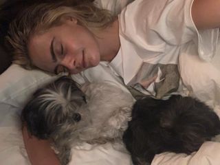 celebrities-and-their-pets-286245-1584642563741-main