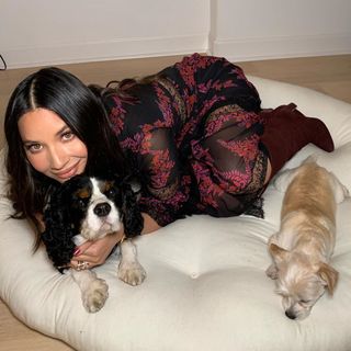 celebrities-and-their-pets-286245-1584643843267-main