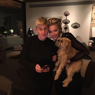 celebrities-and-their-pets-286245-1584644248653-main
