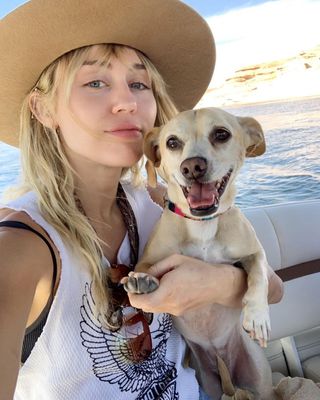 celebrities-and-their-pets-286245-1584645893409-main