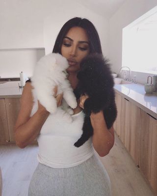 celebrities-and-their-pets-286245-1584647422608-main