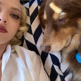 celebrities-and-their-pets-286245-1584651699687-main