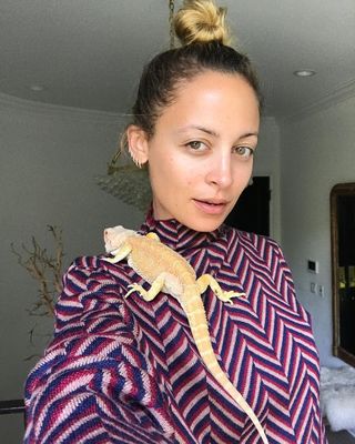 celebrities-and-their-pets-286245-1584656066431-main
