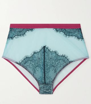 Dora Larsen + Maria Lace and Stretch-Tulle Briefs