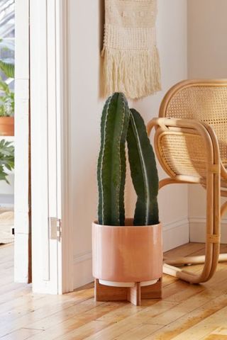 Urban Outfitters + Cecily 10-Inch Planter + Stand