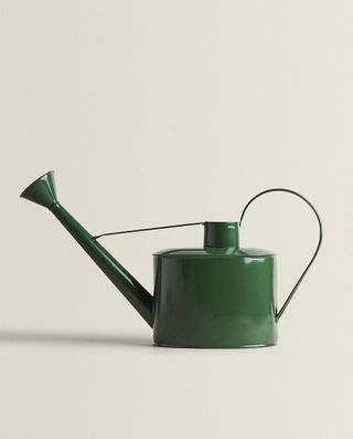 Zara + Green Iron Watering Can