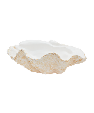 Matilda Goad + Giant Clam Shell, Classic in White