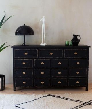 Rockett St George + Antique Style Black Multi-Drawer Storage Cabinet