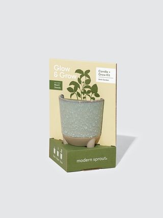 Modern Sprout + Herb Garden Basil Glow & Grow Kit