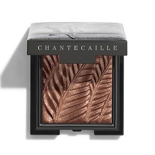 Chantecaille + Luminescent Eye Shade in Giraffe