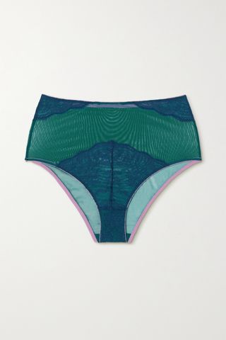 Dora Larsen + Lila Tulle and Lace Briefs