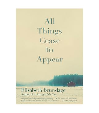 Elizabeth Brundage + All Things Cease to Appear