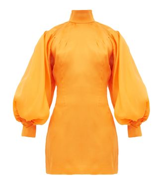 Elzinga + Balloon-Sleeve Silk-Organza Mini Dress