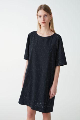 COS + Broderie-Anglais Embroidered Cotton Dress