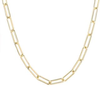 Boutiquelovin + Link Chain Necklace
