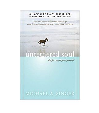 Michael Singer + Untethered Soul