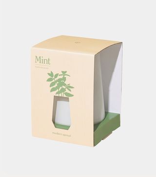Modern Sprout + Mint Indoor Garden Kit