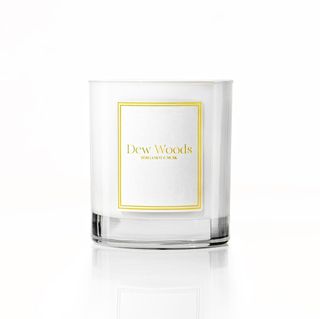Dew Woods + Scented Candle | Bergamot + Musk