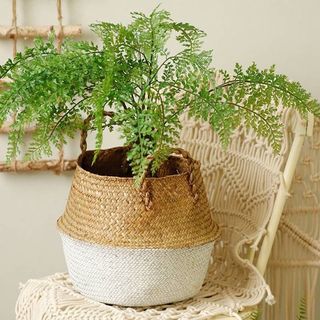 Snorda + Seagrass Wicker Basket Wicker Basket Flower Pot