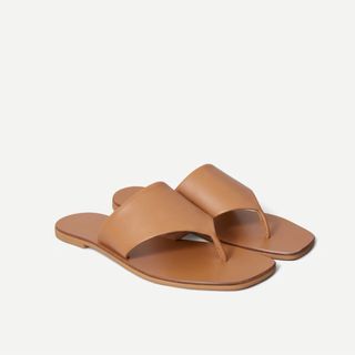 Everlane + The Leather Thong Sandals